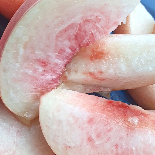 경북 아삭하고 달달한 딱딱이 백도 복숭아